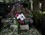 Takayama-Shorenji Cemetery 11-0943